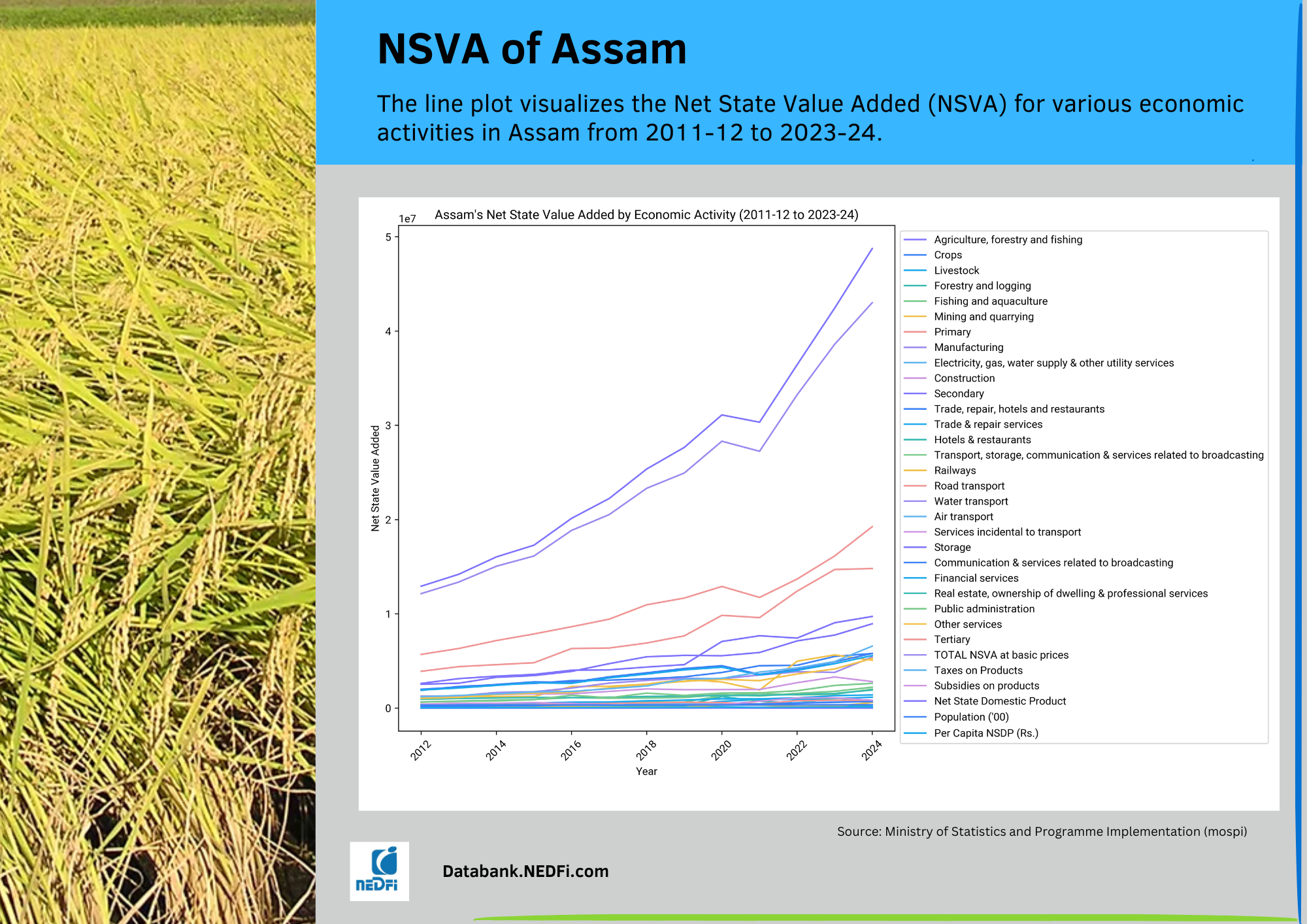 Assam NSVA