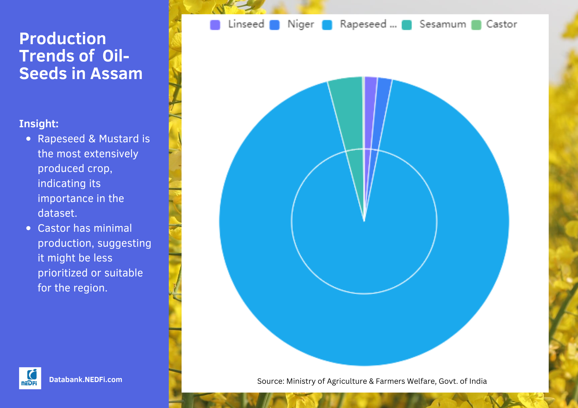 Oil Seeds Assam