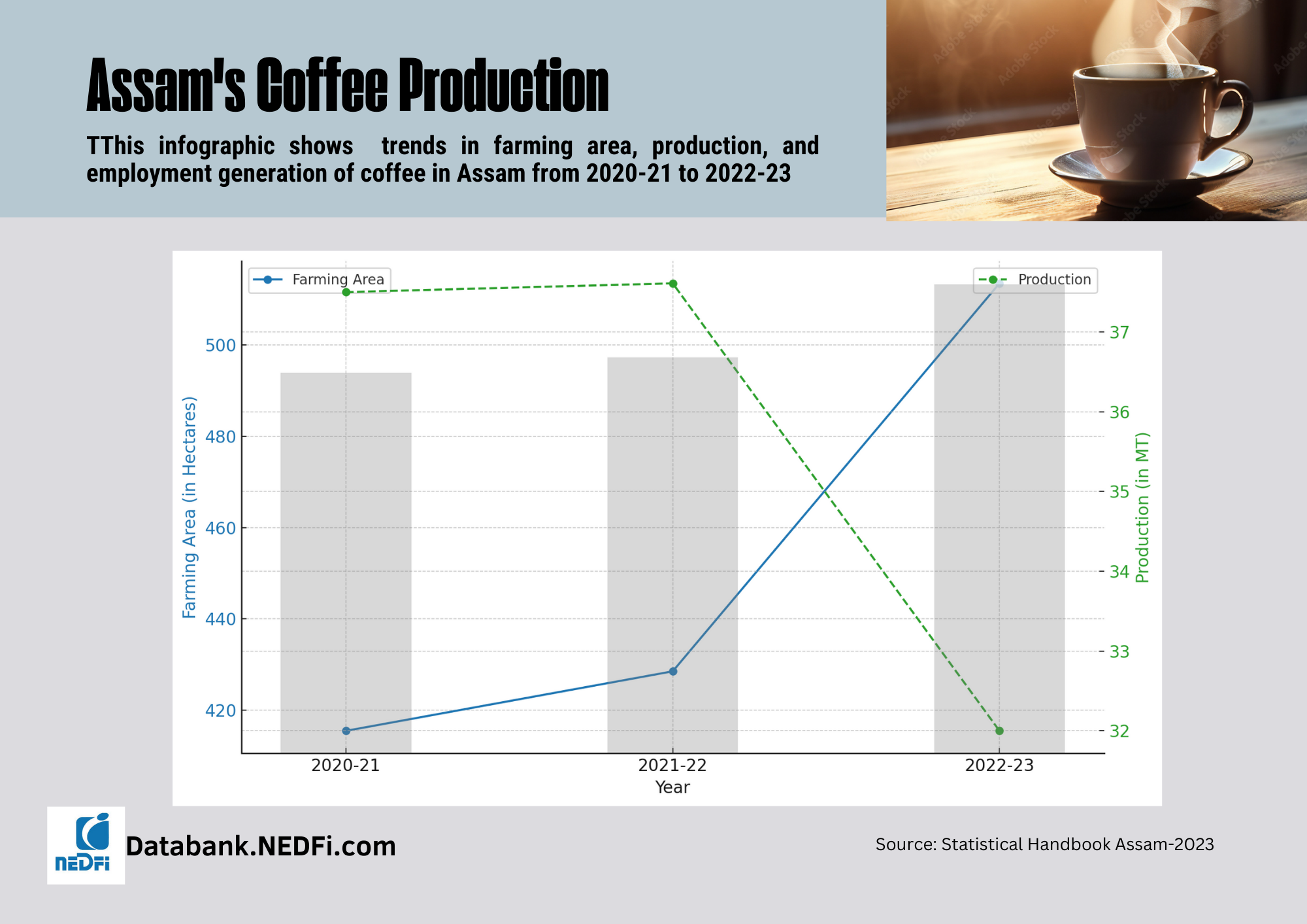 Assam Coffee production