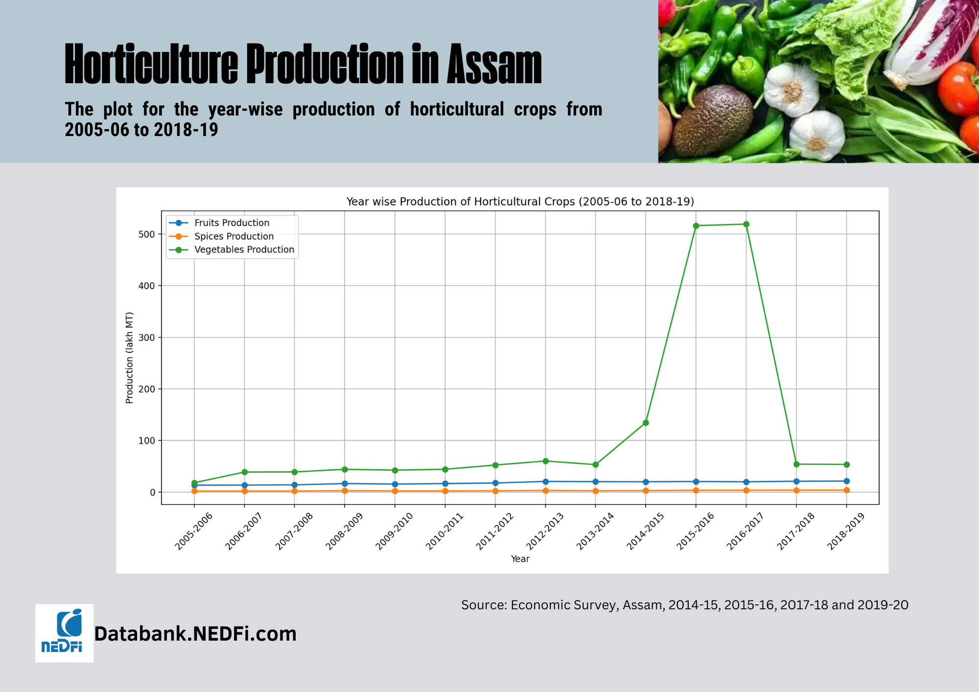 Assam Horticulture Production