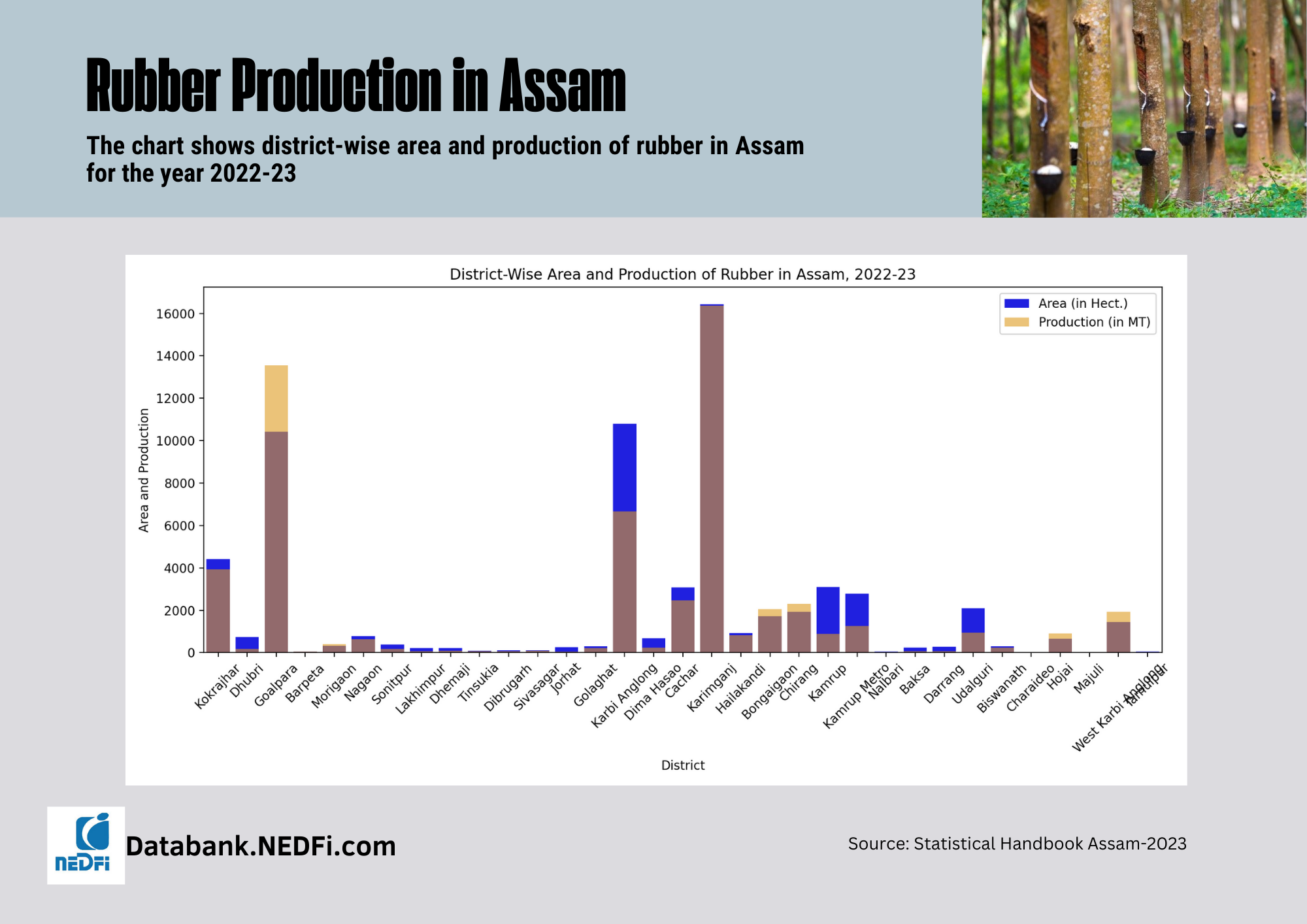 Assam Rubber Production