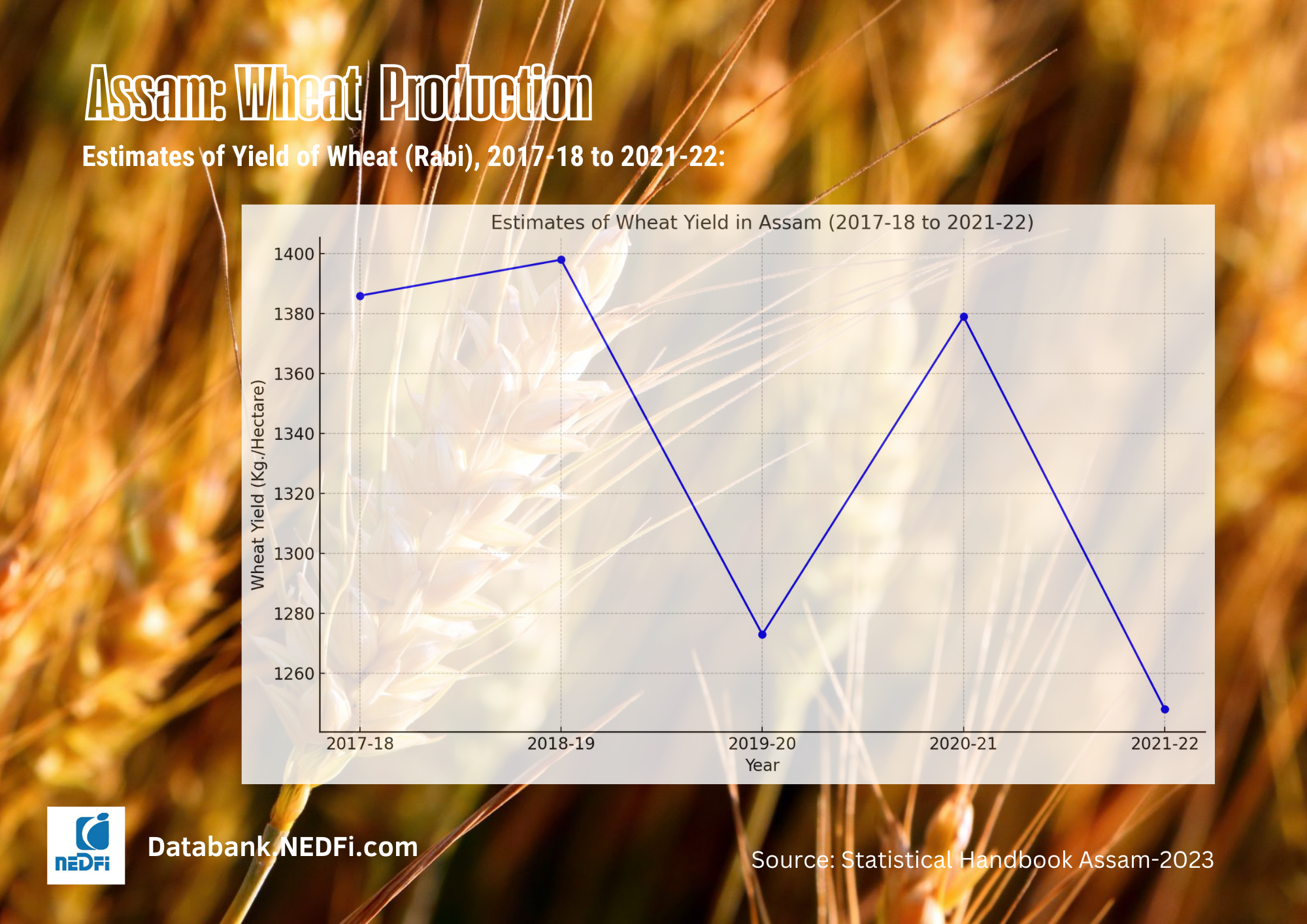 Assam Wheat production